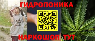 сатива Коммунар